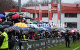 02.01.25 VfB Stuttgart Training