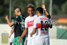 FC Wacker Innsbruck - VfB Stuttgart