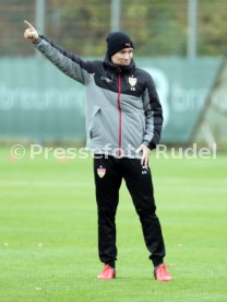 VfB Stuttgart Training