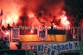 VfB Stuttgart - TSV 1860 M&uuml;nchen