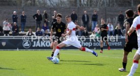 08.03.26 U19 VfB Stuttgart - U19 1. FC K&ouml;ln