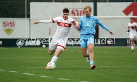15.02.25 U19 VfB Stuttgart - U19 TSV 1860 M&uuml;nchen