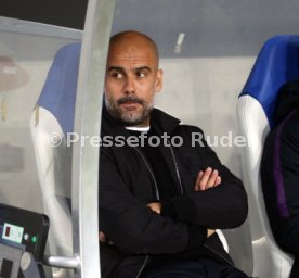 TSG 1899 Hoffenheim - Manchester City