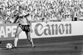 14.06.88 Deutschland - D&auml;nemark