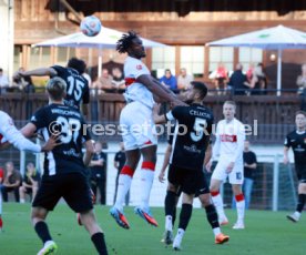 03.09.25 SG Sonnenhof Gro&szlig;aspach - VfB Stuttgart