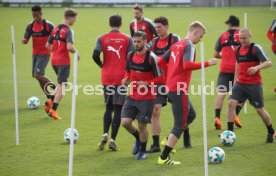 VfB Stuttgart Training