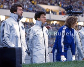 FIFA WM 1978