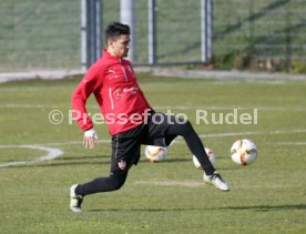 VfB Stuttgart Training