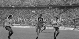 DFB-Pokal Finale 1987 Hamburger SV - Stuttgarter Kickers