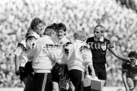 14.06.88 Deutschland - D&auml;nemark
