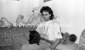 15.12.90 VfB Gaudino Katze Mini
