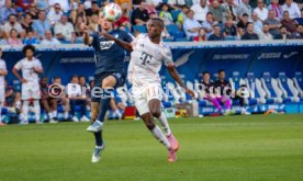 20.09.25 TSG 1899 Hoffenheim - FC Bayern M&uuml;nchen