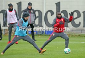VfB Stuttgart Training