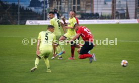 SG Sonnenhof Großaspach - FSV Zwickau