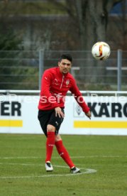 VfB Stuttgart Training