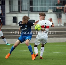 U19 VfB Stuttgart - U17 TSG 1899 Hoffenheim