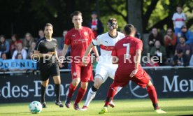VFB Stuttgart-Fan Auswahl Spiel