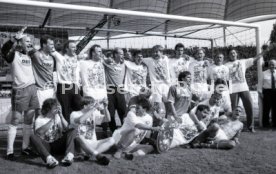 05.06.1993 VfB Stuttgart - SV Werder Bremen