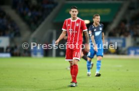TSG 1899 Hoffenheim - FC Bayern M&uuml;nchen