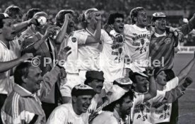 25.05.88 PSV Eindhoven - Benfica Lissabon