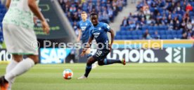 17.04.22 TSG 1899 Hoffenheim - SpVgg Greuther F&uuml;rth