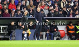 19.04.23 FC Bayern M&uuml;nchen - Manchester City