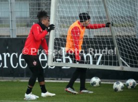 VfB Stuttgart Training
