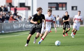 08.03.26 U19 VfB Stuttgart - U19 1. FC K&ouml;ln