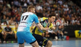 TVB Stuttgart - Rhein-Neckar L&ouml;wen