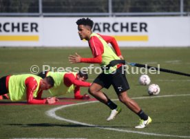 VfB Stuttgart Training