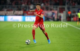 FC Bayern M&uuml;nchen - Roter Stern Belgrad