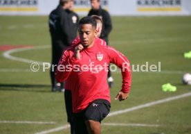 VfB Stuttgart Training