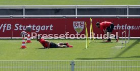 VfB Stuttgart Training