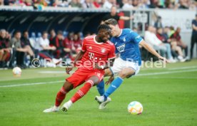 22.10.22 TSG 1899 Hoffenheim - FC Bayern M&uuml;nchen