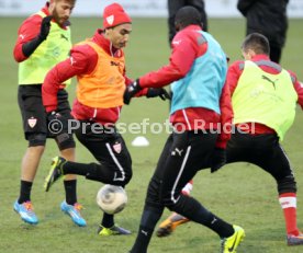 VfB Stuttgart