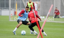 25.03.25 VfB Stuttgart Training