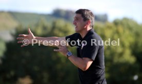 VfB Stuttgart - Real Sociedad San Sebastian