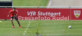 VfB Stuttgart Training