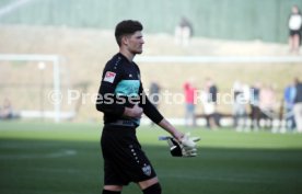 VfB Stuttgart - FC Basel