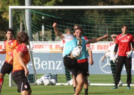 vfb_training