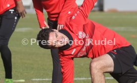 VfB Stuttgart Training