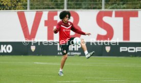 12.11.24 VfB Stuttgart Training