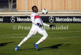 VfB Stuttgart - SG Dynamo Dresden