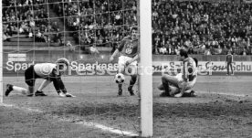 VfB Stuttgart - Bayer 05 Uerdingen