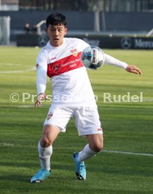 VfB Stuttgart - SG Dynamo Dresden