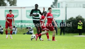 04.03.25 U19 Sporting CP - U19 VfB Stuttgart