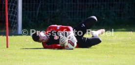 15.09.26 VfB Stuttgart Training