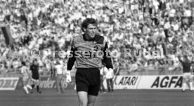 DFB-Pokal Finale 1987 Hamburger SV - Stuttgarter Kickers