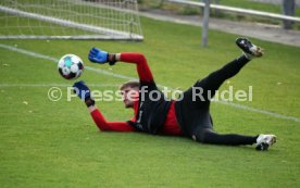 16.11.20 VfB Stuttgart Training