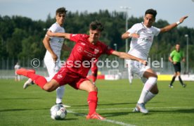 FC Z&uuml;rich - VfB Stuttgart